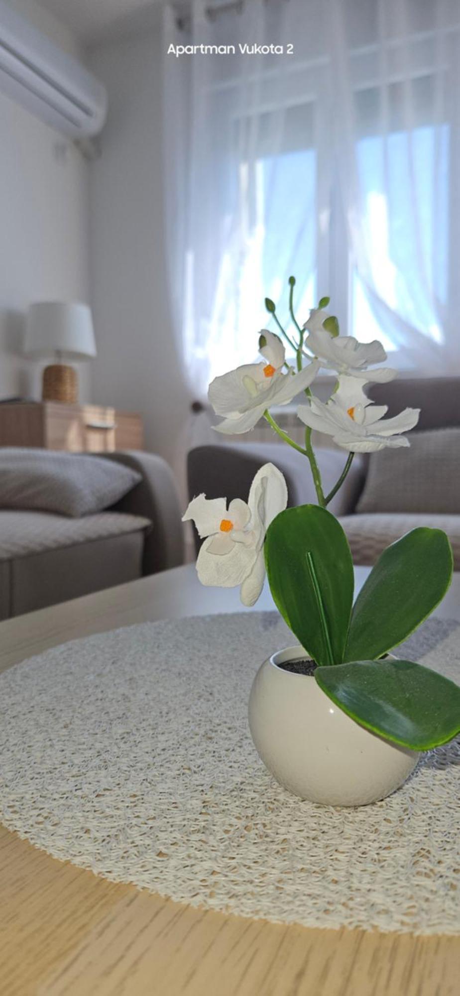 Apartman Vukota 2 Pirot Exterior foto